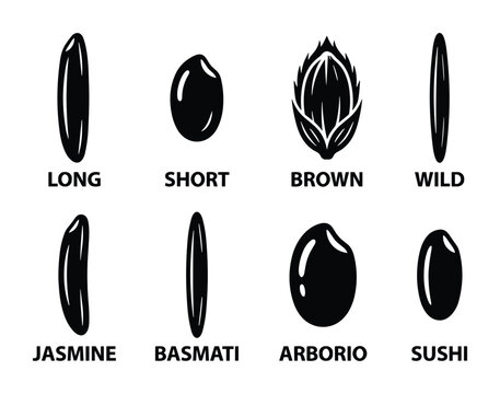 Collection of rice grains glyph, rice type silhouettes. Isolated long, short, brown, wild, jasmine, basmati, arborio, sushi.