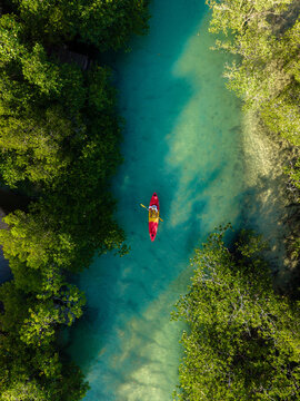 Explore the tranquil waters of Koh Phayam in Ranong, Thailand while kayaking through lush mangroves