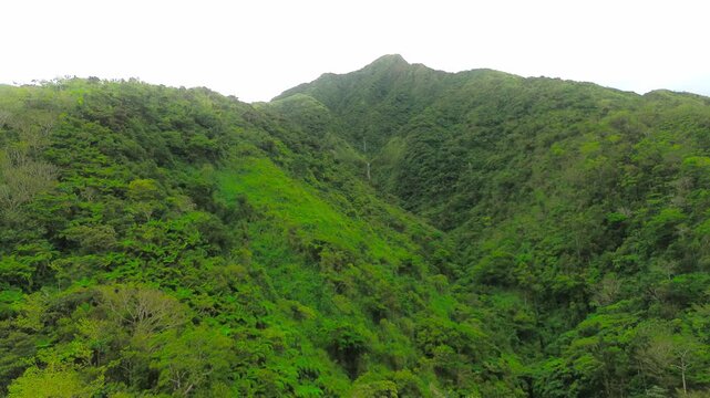 Aerial footage of a hidden waterfall cascading down al ush tropical mountain ridge.