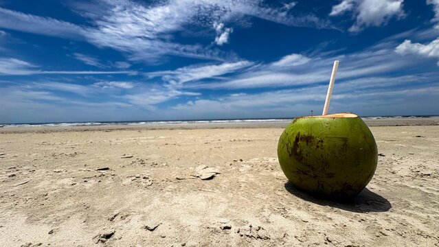Coco Verde na Praia