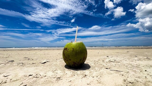 Coco Verde na Praia