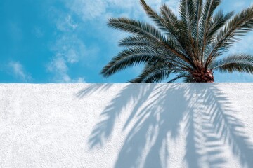 Palm tree with textured white wall and its shadow against bright blue sky with clouds