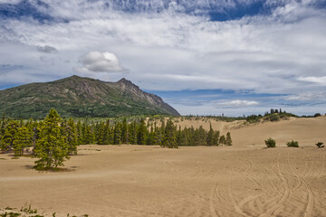 Beautiful day at the desert clouds above the green mountain - Carcross, YT, Canada © Ravi