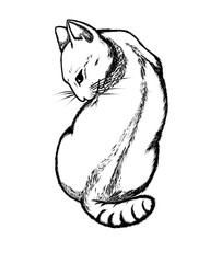sketch of cat isolate on white background 