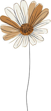 Digital illustration of a daisy flower with neutral beige and white petals on a black background
