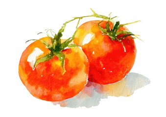 Watercolor illustration of two ripe tomatoes with green stems, presented on a black background