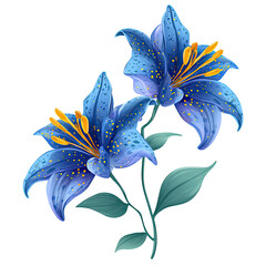 Two celestial blue lilies with golden accents, stems and leaves on a black background