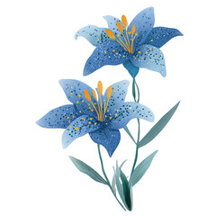 Delicate blue lilies with speckled petals and prominent yellow stamens against a stark black background
