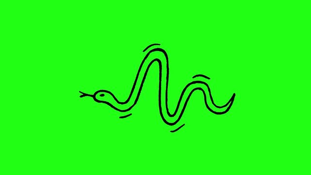 4K Hand drawn snake frame by frame animation on chroma key green screen background.
