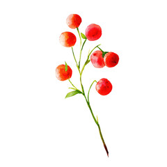 Watercolor illustration of a berry branch on a black background