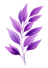 Watercolor illustration of a purple leafed branch with a black background