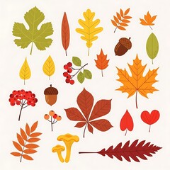 Collection Of Stylized Autumn Elements For Graphic Design