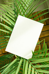 모던한 식물 장식과 카드 목업