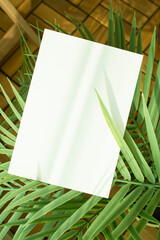 모던한 식물 장식과 카드 목업