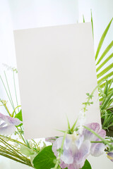 모던한 식물 장식과 카드 목업