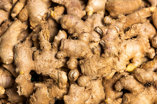 Many organic ginger roots in the Colombian peasant market square - Zingiber officinale