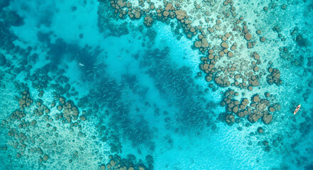 Obraz premium Aerial View of Turquoise Ocean Water, Coral Reef, School of Fish