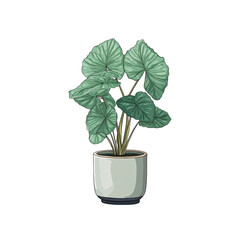 Fototapeta premium A potted tropical plant with large, heart-shaped leaves, illustrated against a dark background