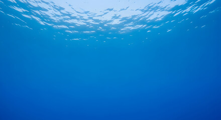 Obraz premium Deep blue ocean water background looking up at the rippled surfa