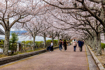 A quiet road along the Nanatani River in Kyoto Prefecture