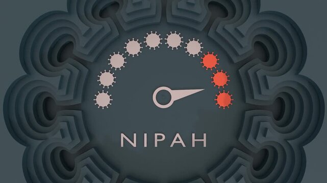 Nipah virus outbreak risk level measuring device. Maximum value. Laboratory diagnostics for zoonotic infection, infectious disease screening, outbreak investigation, clinical virology concept.