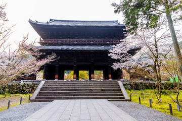 Cherry blossom scenery at Nanzenji Temple in Kyoto Prefecture