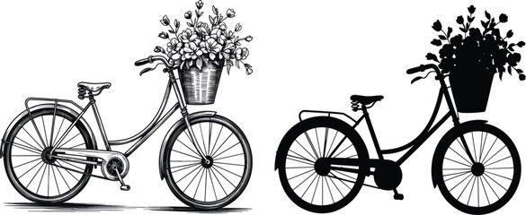 Obraz premium Vintage bicycle with flower basket vector, hand drawn sketch and silhouette, retro romantic garden transport