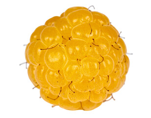 A single, bright yellow, rounded berry with many drupelets