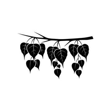 flat silhouette icon of Bodhi tree branch with hanging leaves, solid black for Buddha Day (Vesak) celebrations