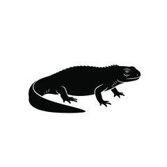 Fototapeta premium Iguana lizard silhouette lying isolated on white background