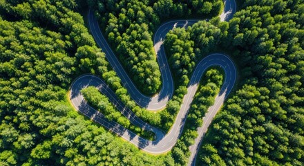 Winding road path through dense green forest landscape from aerial view perspective for scenic drive and travel destination marketing.