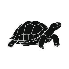 Naklejka premium Land turtle silhouette walking isolated on white background