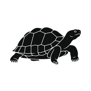 Land turtle silhouette walking isolated on white background