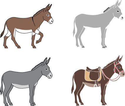 Donkey vector illustration set featuring farm pack animals with saddle and harness, rural livestock collection, working mule characters, and countryside design elements