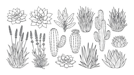 Obraz premium Hand drawn outline botanicals featuring various succulent, cactus, and lavender plants perfect for home decor, garden designs, or natural themed projects