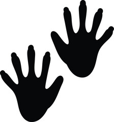 Obraz premium raccoon paw print dexterous fingers silhouette vector illustration on transparent background