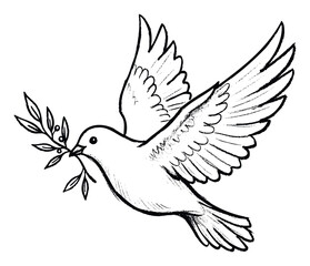 Obraz premium A hand drawn flying dove gracefully carrying an olive branch, embodying messages of peace, purity, and hope, suitable for various spiritual or commemorative projects.