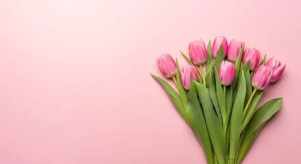 Obraz premium A bouquet of pink tulips on a pink background