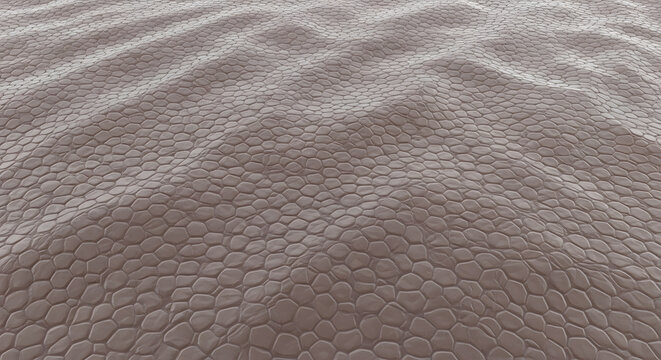 A highly detailed microscopic view of human skin cells showing a repetitive hexagonal pattern and organic texture
