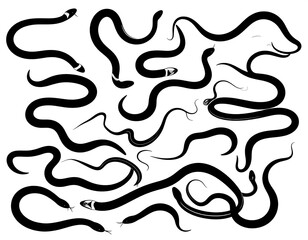 Fototapeta premium Artistic depiction of numerous black snakes, various postures