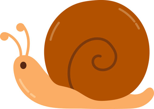 Cute Cartoon Animal Snail Illustration