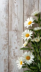 Beautiful white daisies bouquet on a light weathered wooden background with copy space.