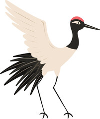crane bird illustration