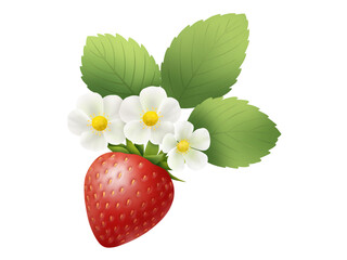 イチゴの素材　B-3