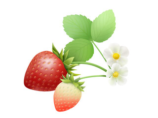 イチゴの素材　B-2