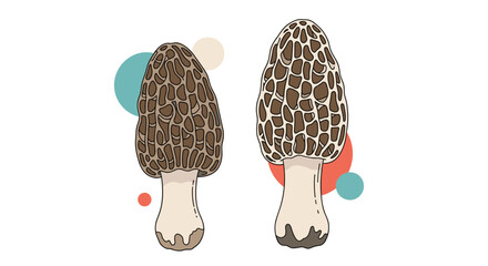 Two detailed illustrations of morel mushrooms with brown pitted caps and white stems against a background of colored abstract circles.