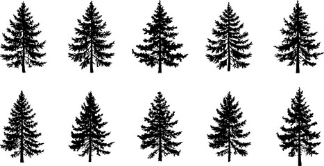 Fototapeta premium Pine Tree Silhouettes Collection
