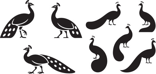 Obraz premium set of minimal peacock bird. silhouette vector icon illustration with white background.