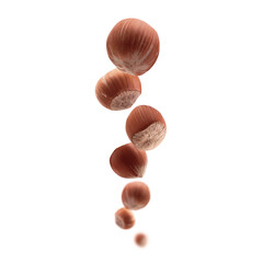 Ripe hazelnuts levitate on a white background