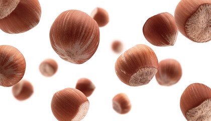 Ripe hazelnuts levitate on a white background